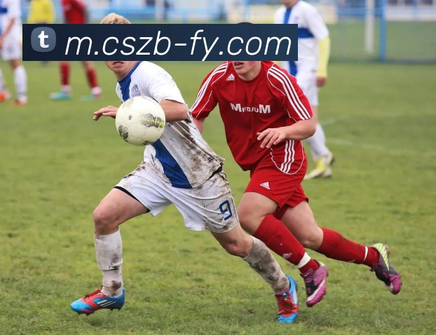 彩神争霸服务体系